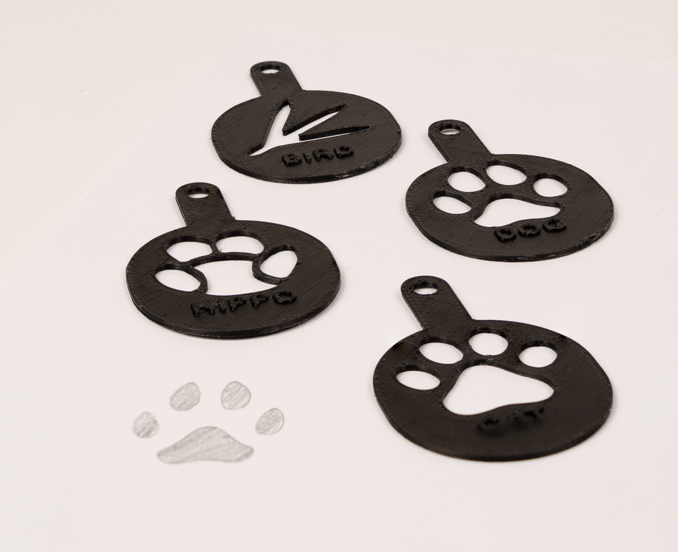 Kit de 5 pochoirs d'empreintes animales imprimés en 3D pour l'animation d'un parc