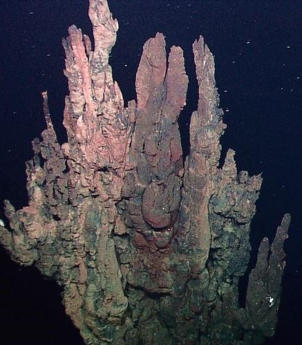 Exemple d'une cheminée hydrothermale, située au large des Galapagos cheminee-hydrothermale-mer-ocean-impression-3d-dagoma