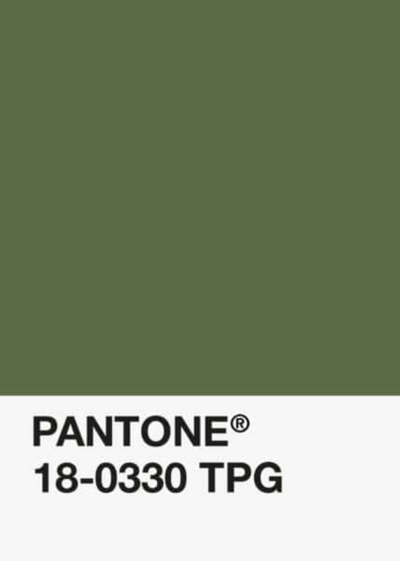 PLA-Vert-Olive-Classique-Chromatik-DKU010164-Objet