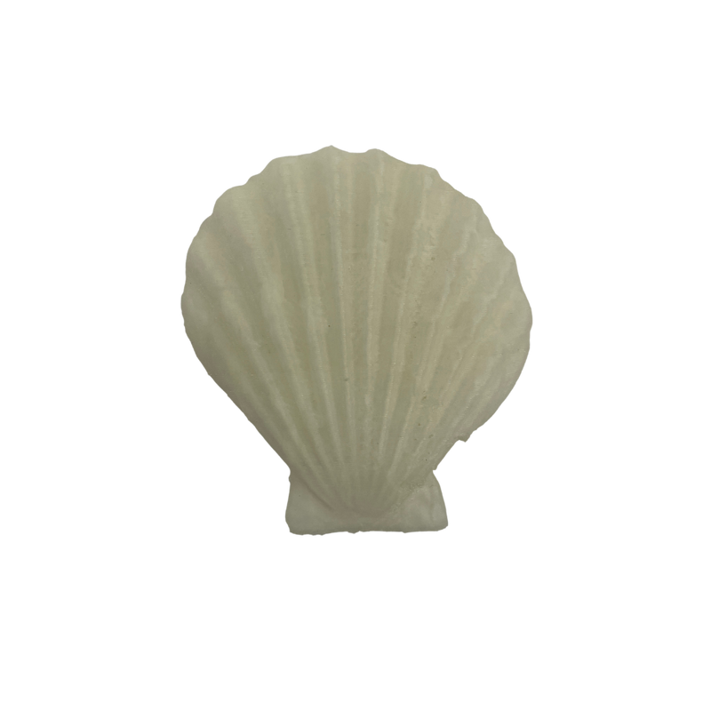 PLA-Saint-Jacques-Technique-Filo3-D-DKU006799-objet.png