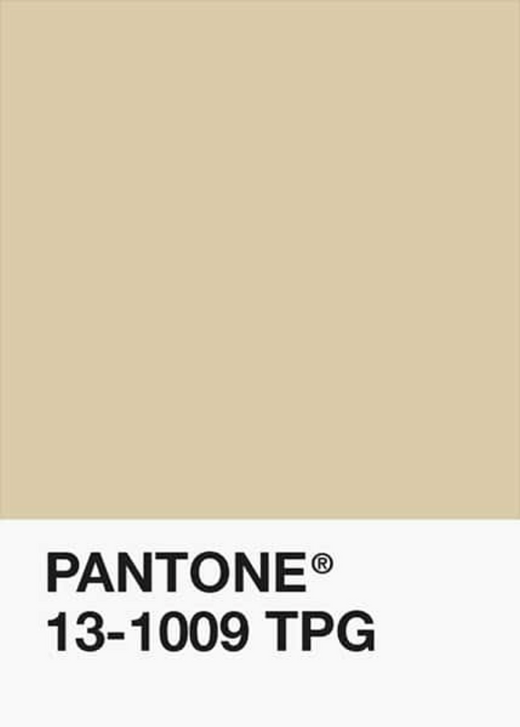 PLA-Cre-me-Classique-Pantone-DKU002002-objet.png