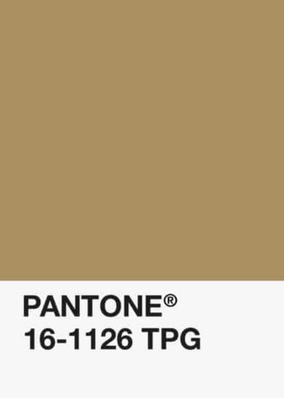 PLA-Cappuccino-Classique-Pantone-DKU002017-objet.png