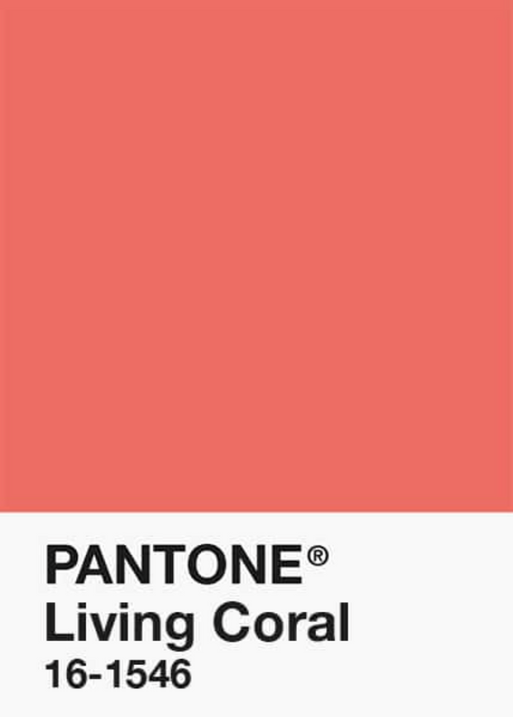 PLA-Corail-Classique-Pantone-DKU002004-objet.png
