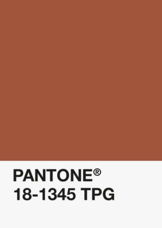 PLA-Rouille-Classique-Pantone-DKU002016-objet.png