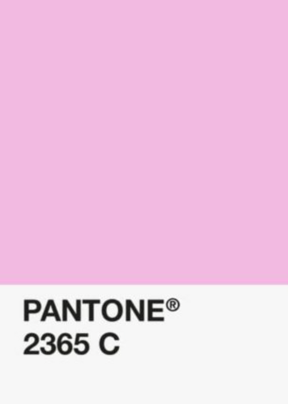 PLA-Rose-Bonbon-Classique-Pantone-DKU002008-objet.png