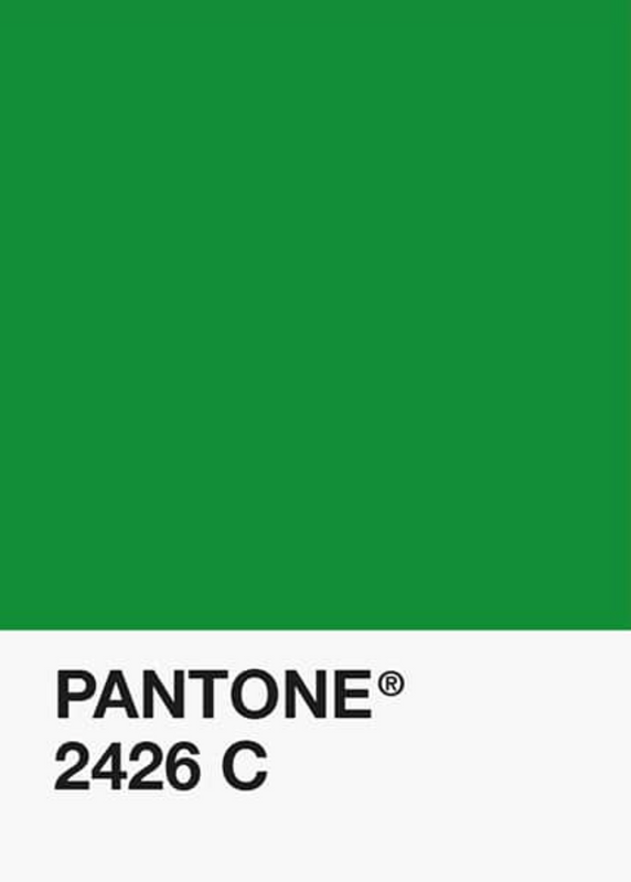 PLA-Vert-Menthe-Classique-Pantone-DKU001994-objet.png