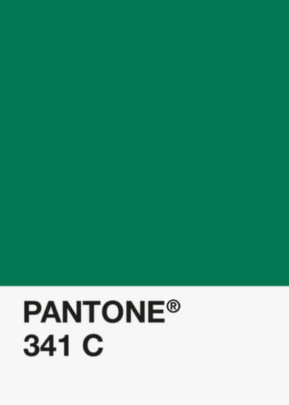 PLA-Vert-Bouteille-Classique-Pantone-DKU002014-objet.png