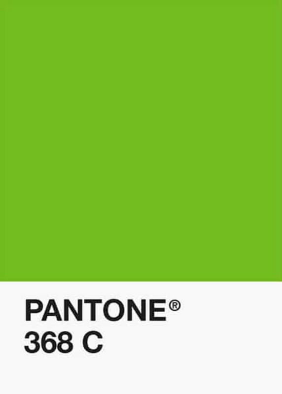 PLA-Citron-Vert-Classique-Pantone-DKU001998-objet.png