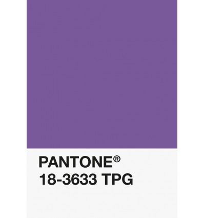 18-3633 TPG - Violet nuancier