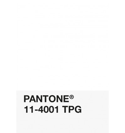 PA12-GF- Blanc-11-4001-TPG-DKU006422-nuancier.png