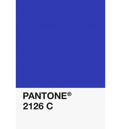 PA12-GF- Bleu Fluo Translucide-2126-C-DKU006454-nuancier.png