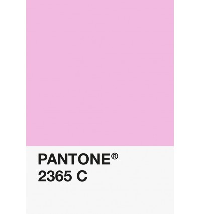 PA12-GF- Rose Bonbon-2365-C-DKU006458-nuancier.png