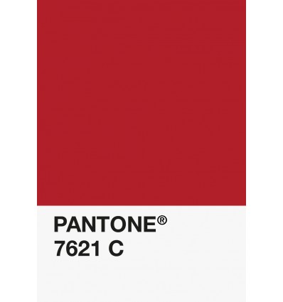 PA12-GF- Rouge Fluo Translucide-7621-C-DKU006480-nuancier.png