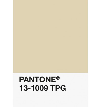 PA12-GF- Crème-13-1009-TPG-DKU006496-nuancier.png