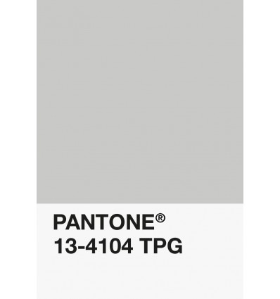 PA12-GF- Gris Clair-13-4104-TPG-DKU006498-nuancier.png
