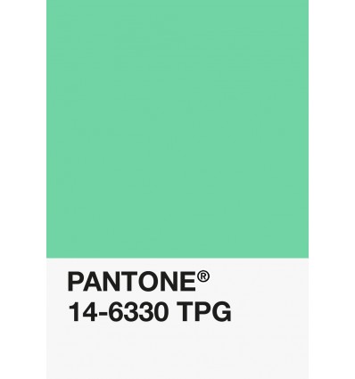 PA12-GF- Vert Pomme-14-6330-TPG-DKU006500-nuancier.png