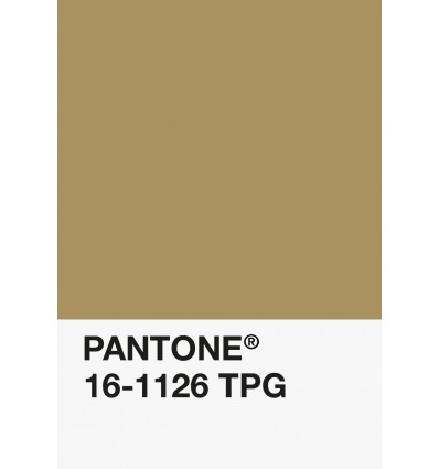 PA12-GF- Bois-16-1126-TPG-DKU006502-nuancier.png