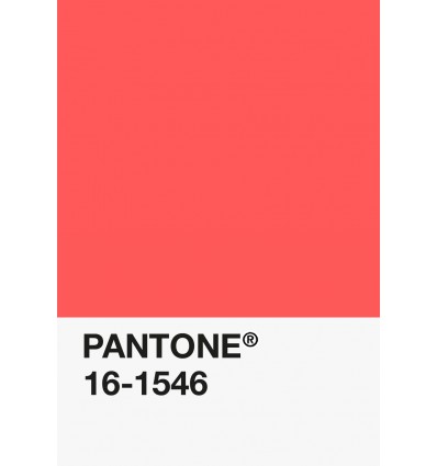 PA12-GF- Corail-16-1546-TPG-DKU006504-nuancier.png