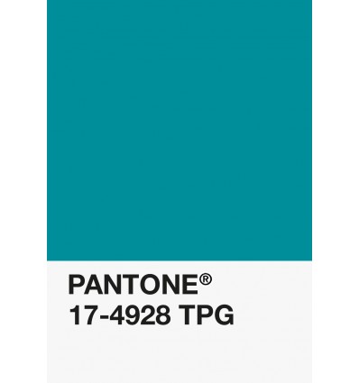 PA12-GF- Turquoise Foncé-17-4928-TPG-DKU006508-nuancier.png
