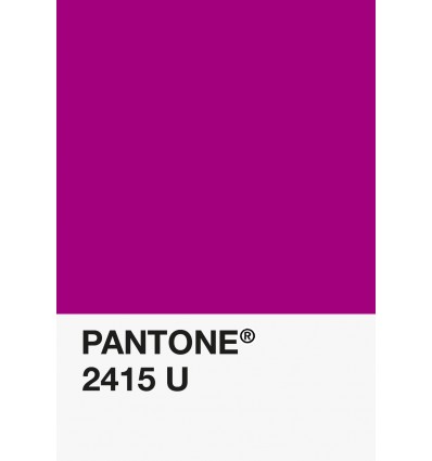 PA12-GF- Magenta-2415-U-DKU006528-nuancier.png