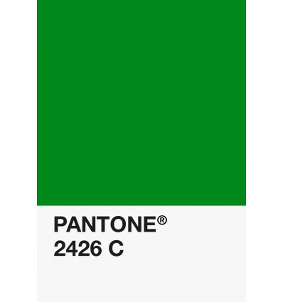 PA12-GF- Vert Moyen-2426-C-DKU006530-nuancier.png