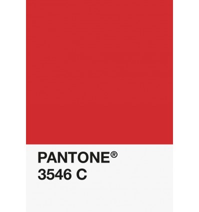 PA12-GF- Rouge Cerise-3546-C-DKU006536-nuancier.png