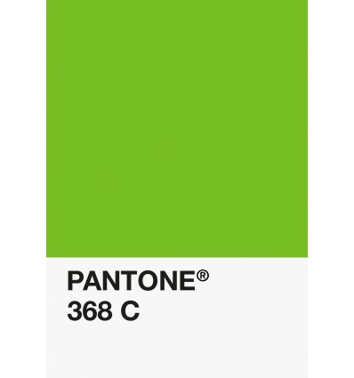 PA12-GF- Vert Clair-368-C-DKU006538-nuancier.png