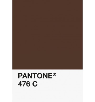 PA12-GF- Marron/Chocolat-476-C-DKU006540-nuancier.png