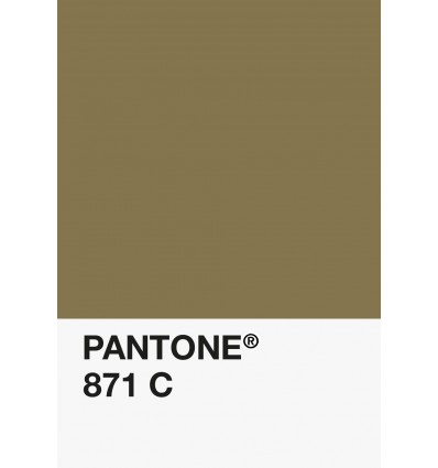 PA12-GF- Or-871-C-DKU006550-nuancier.png