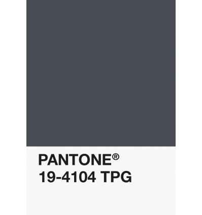 PA12-GF- Gris Anthracite-19-4104-TPG-DKU006382-nuancier.png
