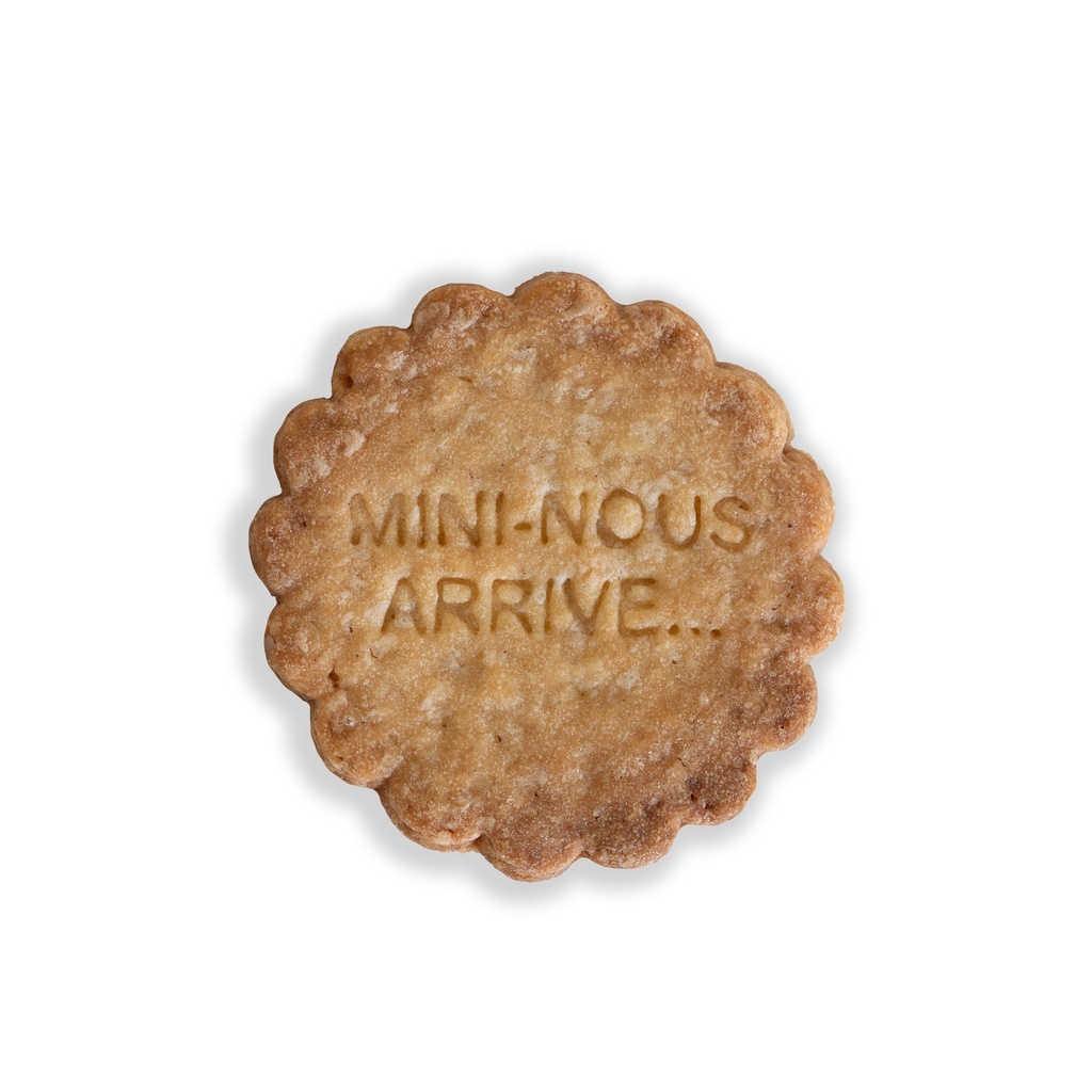 tanyer Faux Biscuit "MINI-NOUS ARRIVE..."