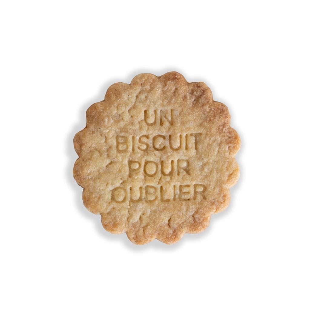 tanyer Faux Biscuit "UN BISCUIT POUR OUBLIER"